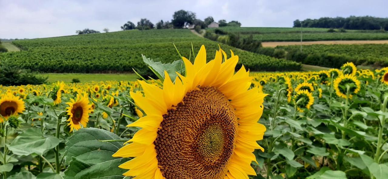 Gite - Le Moussat Lagraulet-du-Gers Exteriér fotografie